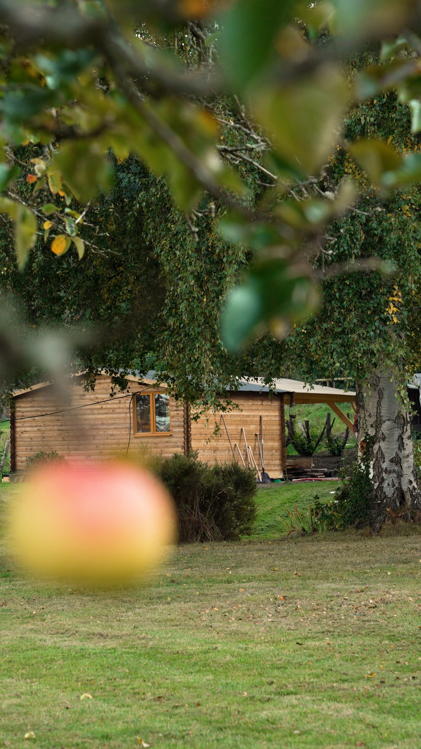 Atelier Bois spécial EVG / EVJF & Anniversaire (4 personnes)